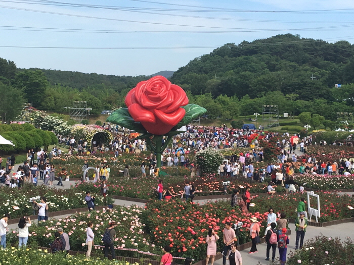 울산대공원 장미축제